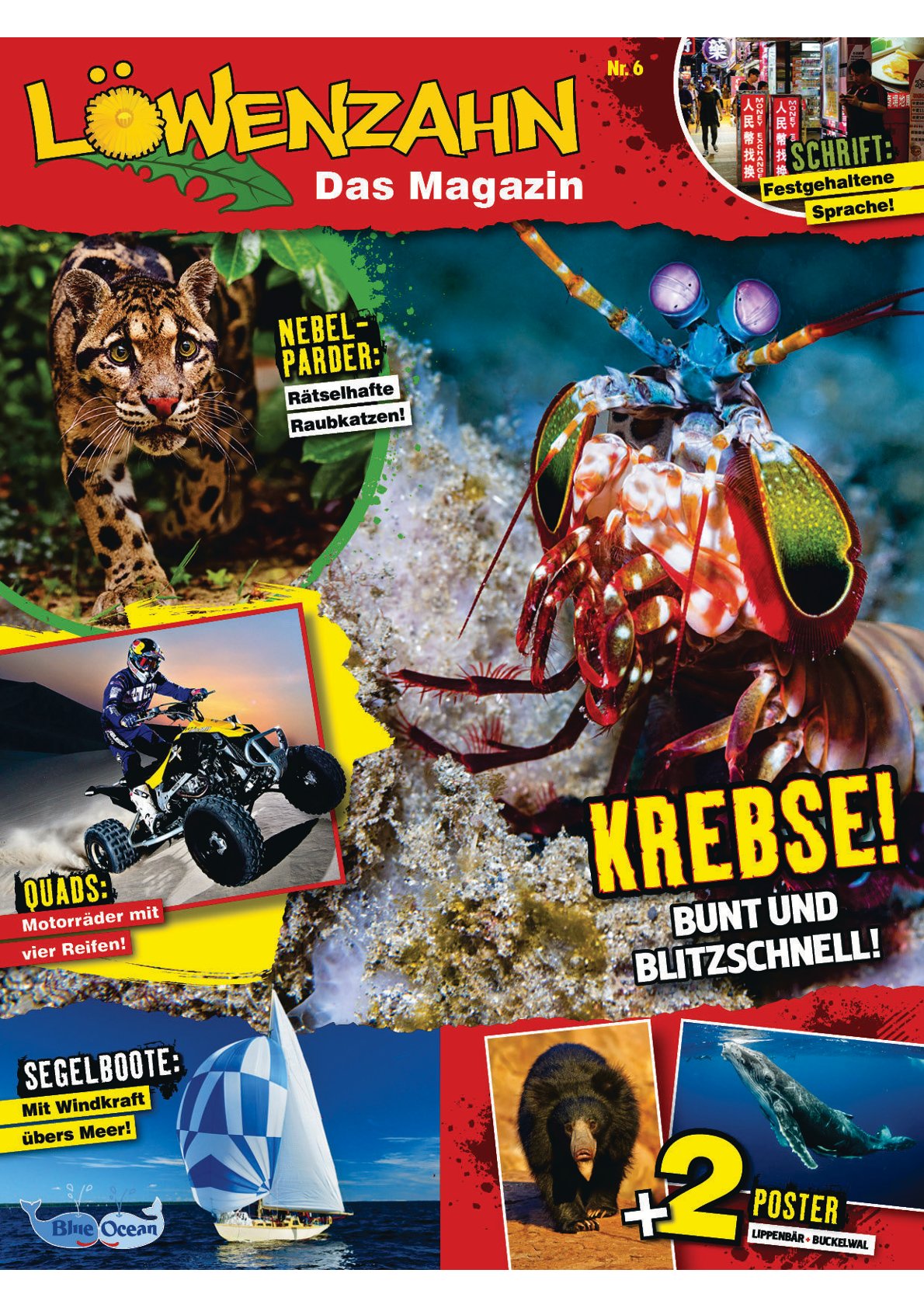 Buchcover: Löwenzahn 06/26
